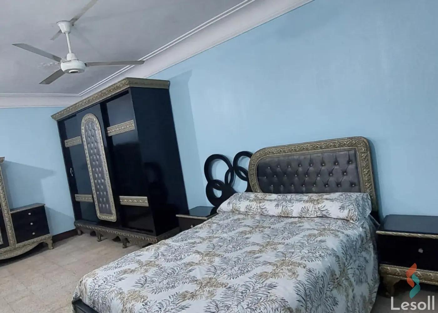 شقة للايجار الشهري بمساحة 230 متر و 3 غرف في مدينة نصر القاهرة - صورة 3