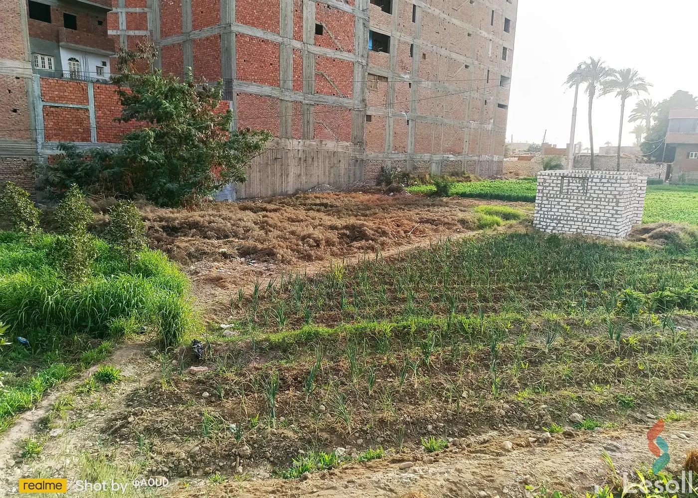 Land building for sale with an area of 525 meters in Abu Tig Assiut - Image 4