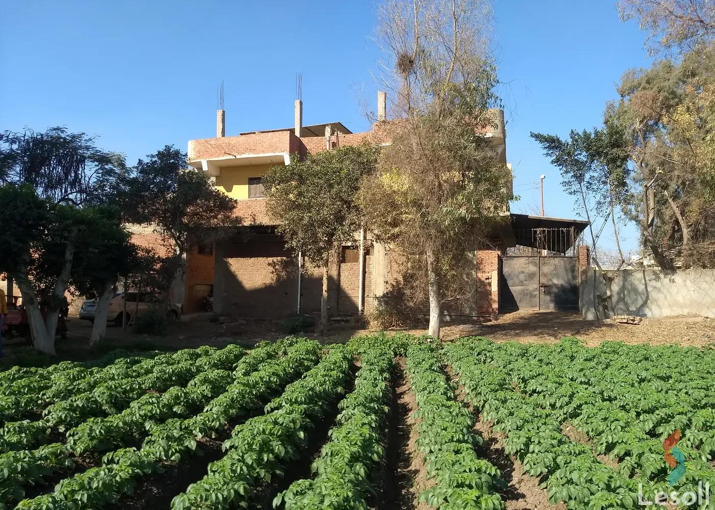 Land building for sale with an area of 3609 meters in Al Bagor Menofia