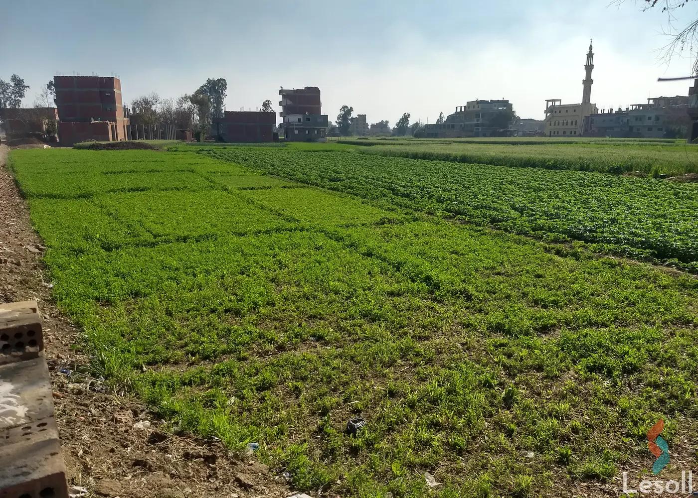 Land building for sale with an area of 3609 meters in Al Bagor Menofia