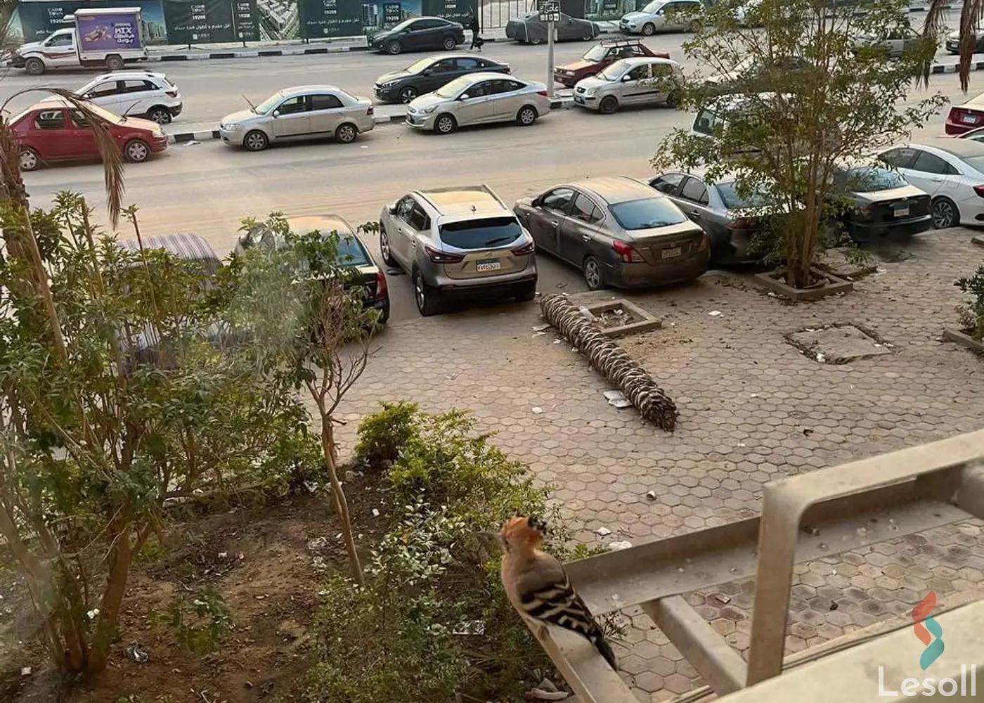 شقة للبيع بمساحة 158 متر و 3 غرف في مدينة نصر القاهرة شقة للبيع بمساحة 158 متر و 3 غرف في مدينة نصر القاهرة