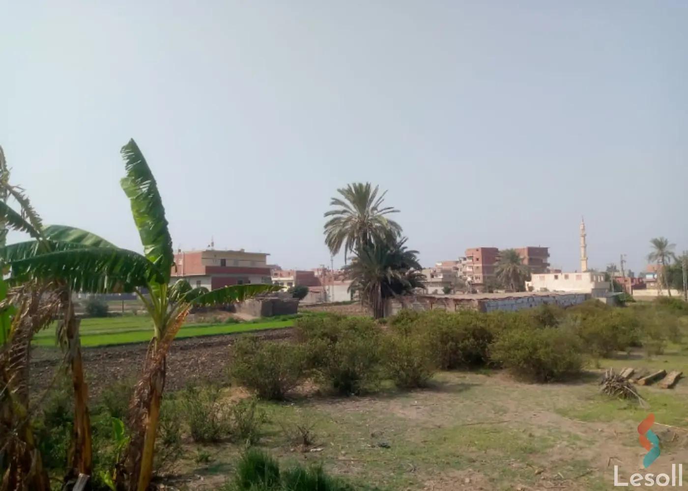 Land agriculture for sale with an area of 330 meters in Abu Hammad Sharkia