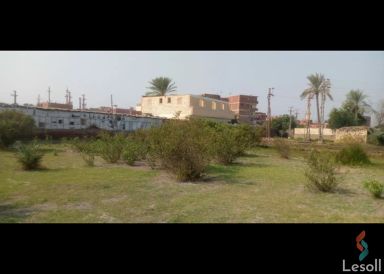 Land agriculture for sale with an area of 330 meters in Abu Hammad Sharkia