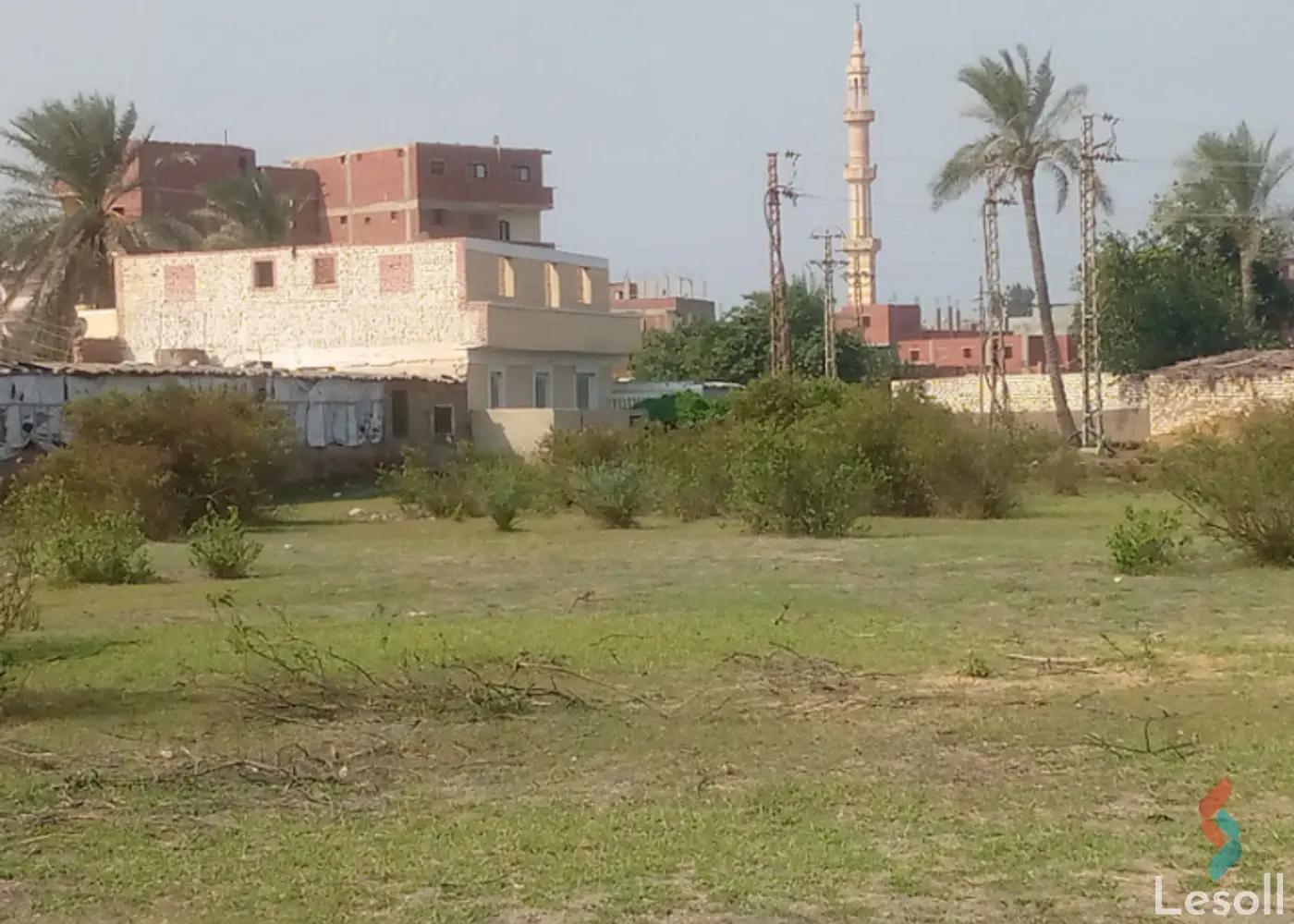 Land agriculture for sale with an area of 330 meters in Abu Hammad Sharkia - All Images