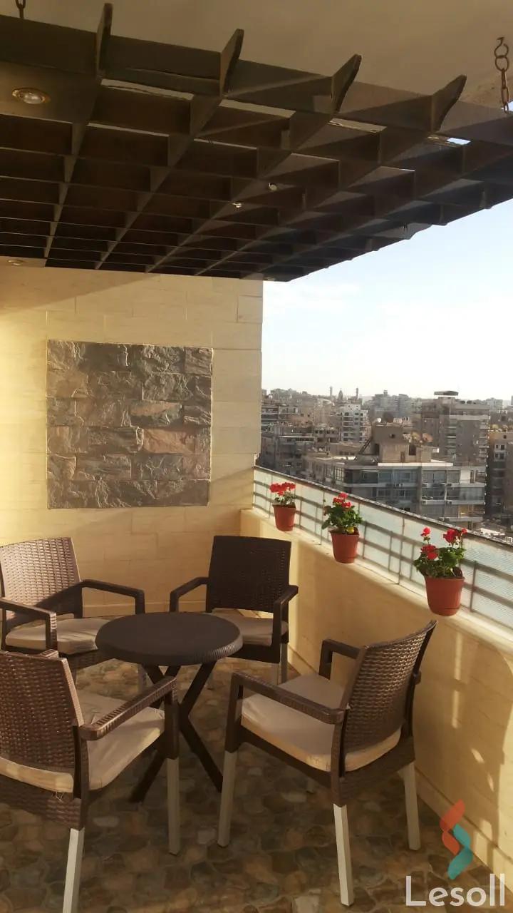 Apartment for monthly rent with an data.area 300 meters and 3 rooms in Nasr City Cairo - All Images
