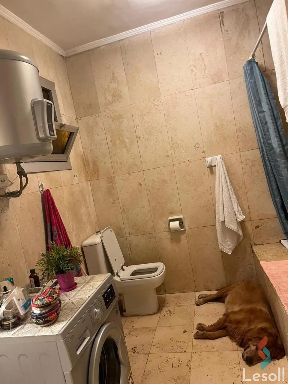 Apartment for sale with an data.area 180 meters and 3 data.rooms in Nasr City Cairo - Image 3