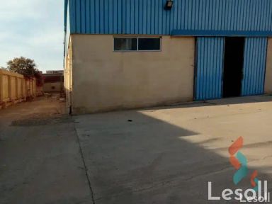 Factory for monthly rent with an data.area of 650 meters in Bourj Alarab Alexandria