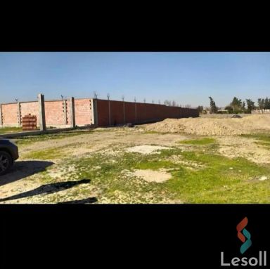 Land building for sale with an area of 1200 meters in Beni Suef El Gednumbera Beni Suef