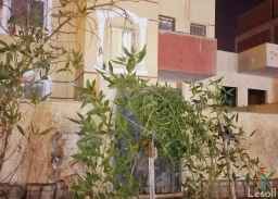 بيت للبيع ف 6 اكتوبر مساحه155م