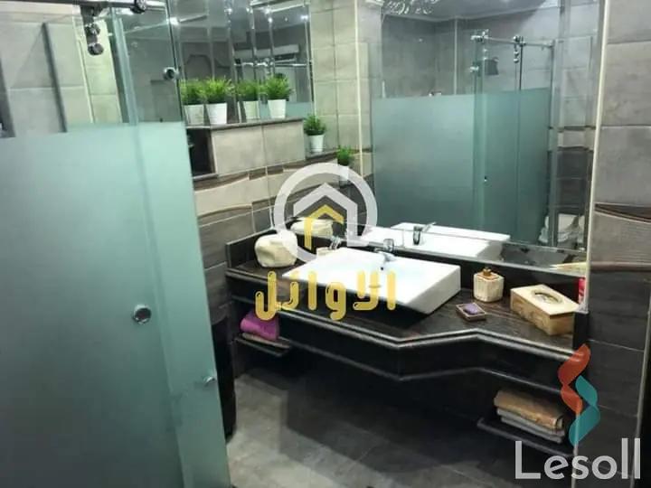 Apartment for sale with an data.area 300 meters and 3 data.rooms in Nasr City Cairo - All Images