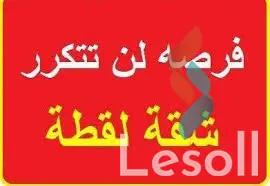 Apartment for sale with an data.area 160 meters and 2 room in Nasr City Cairo - Image 3