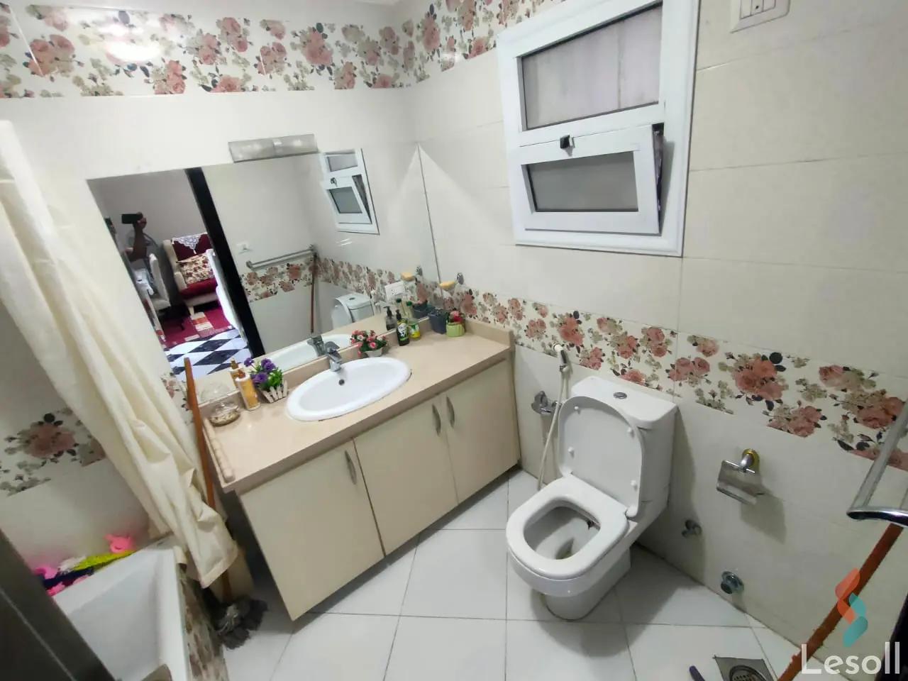 Apartment for monthly rent with an data.area 80 meters and 2 rooms in Mohandessin Giza - All Images