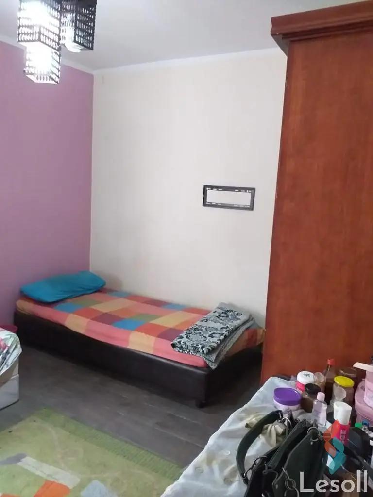 شقة للبيع بمساحة 250 متر و 4 غرف في الدقى الجيزة - صورة 2