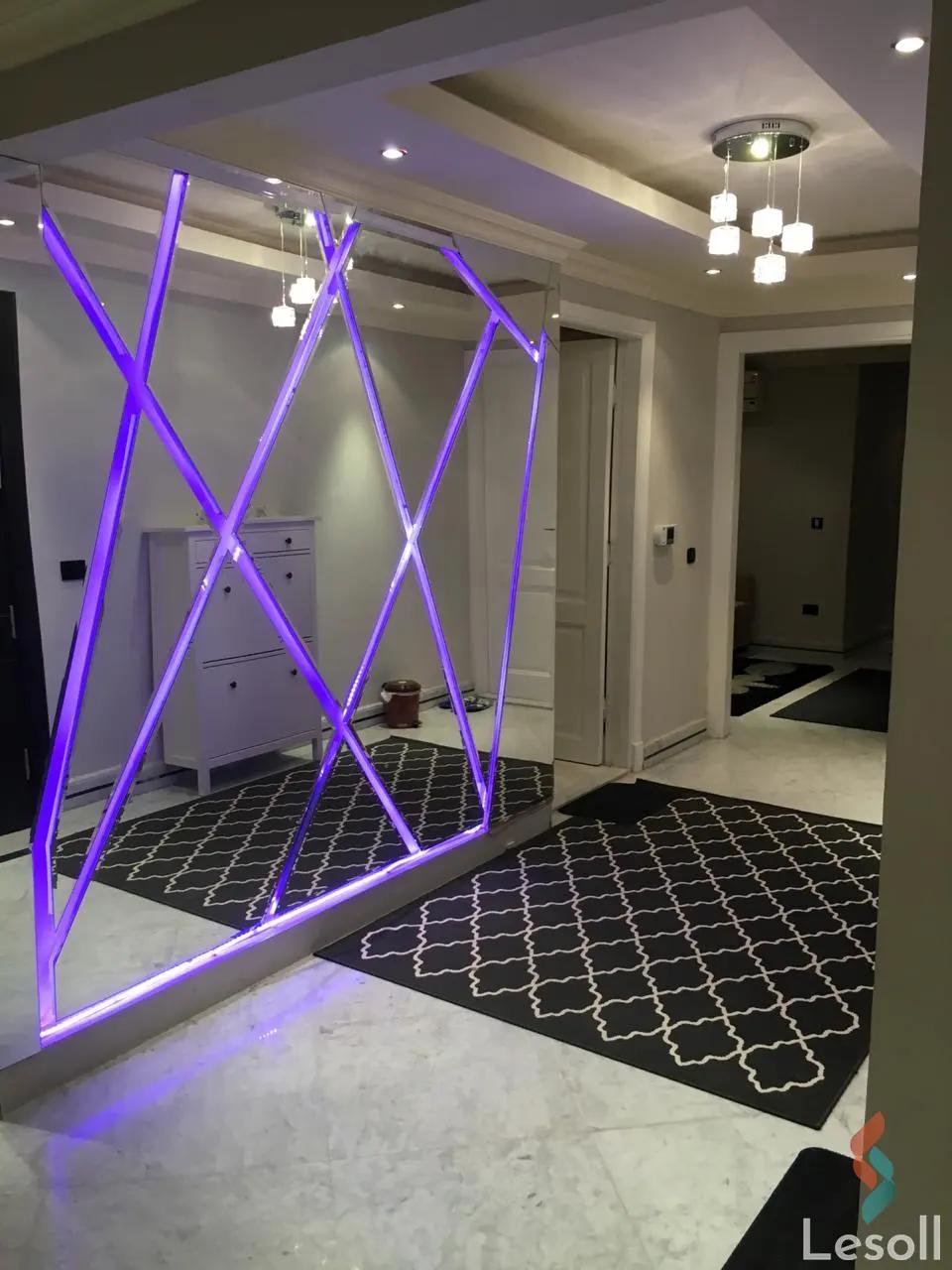 شقة للبيع بمساحة 270 متر و 3 غرف في الدقى الجيزة - صورة 4