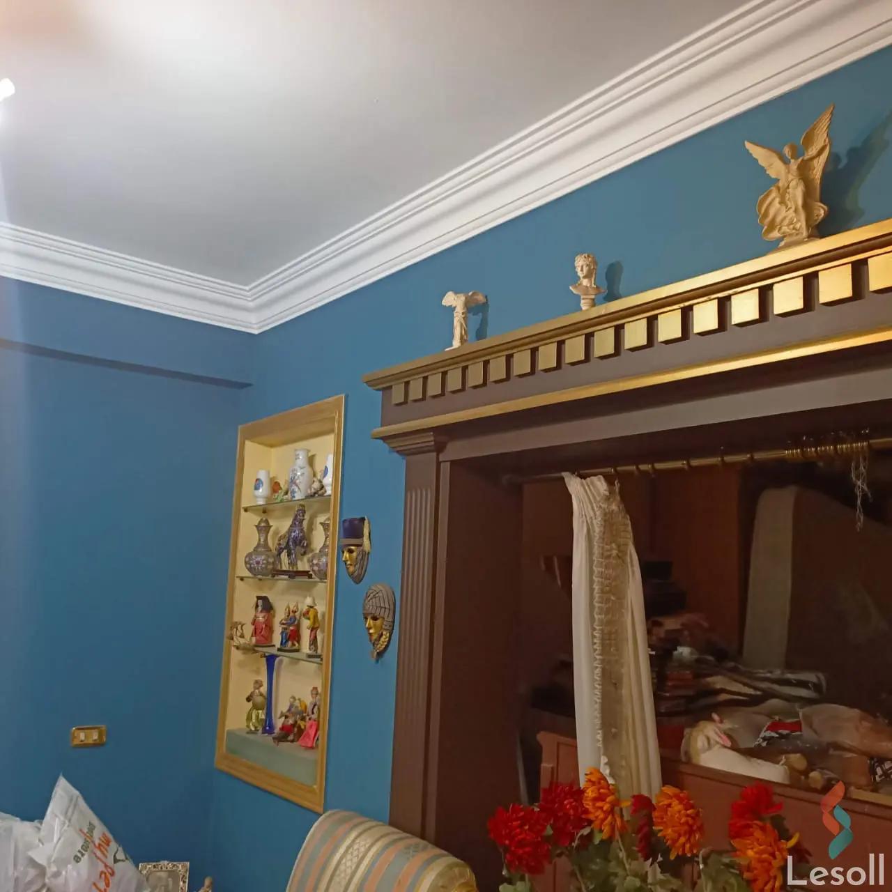 شقة للبيع بمساحة 350 متر و 3 غرف في المهندسين الجيزة - صورة 2