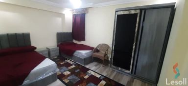 Apartment for monthly rent with an data.area 200 meters and 3 rooms in Manyal Cairo