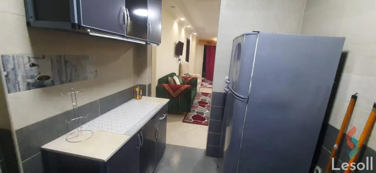 Apartment for monthly rent with an data.area 200 meters and 3 rooms in Manyal Cairo