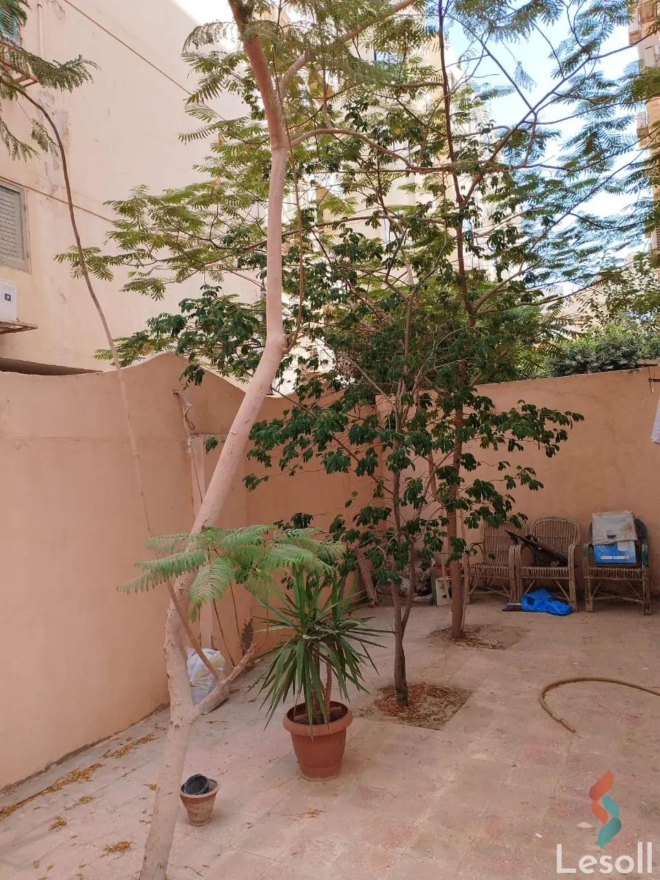 Apartment with garden for sale with an data.area 230 meters and 3 data.rooms in 5th Settlement Cairo - All Images