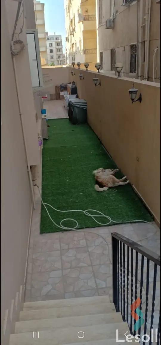 شقة للبيع بمساحة 165 متر و 3 غرف في التجمع الخامس القاهرة شقة للبيع بمساحة 165 متر و 3 غرف في التجمع الخامس القاهرة