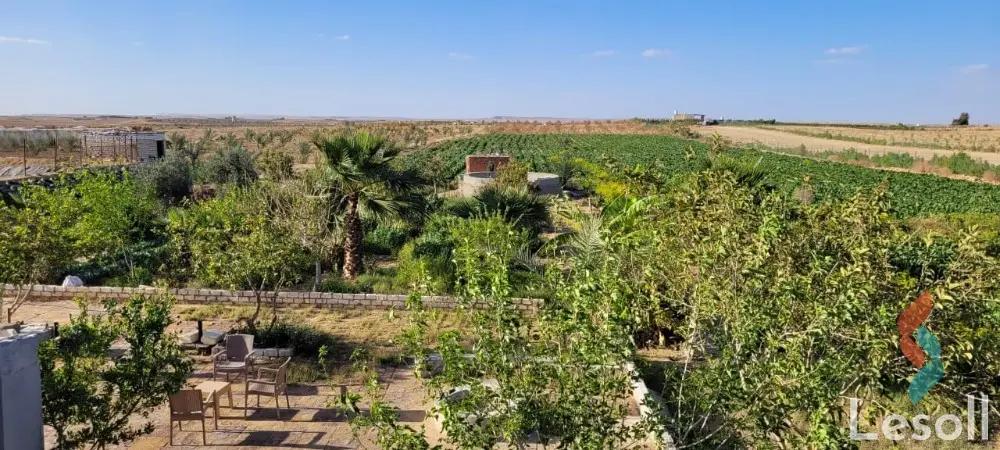 ارض زراعية للبيع بمساحة 8400 متر في طامية الفيوم - كل الصور