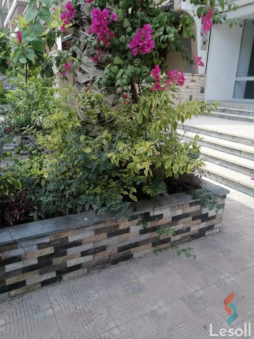 Apartment for sale with an data.area 200 meters and 3 data.rooms in Nasr City Cairo - Image 3