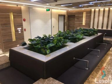 Clinic for sale with an area of 2000 meters in New Cairo Cairo