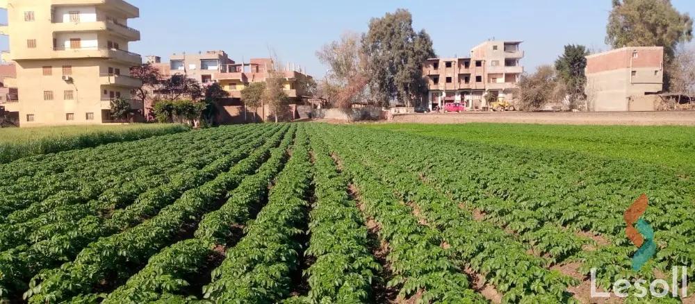 Land building for sale with an area of 3609 meters in Al Bagor Menofia