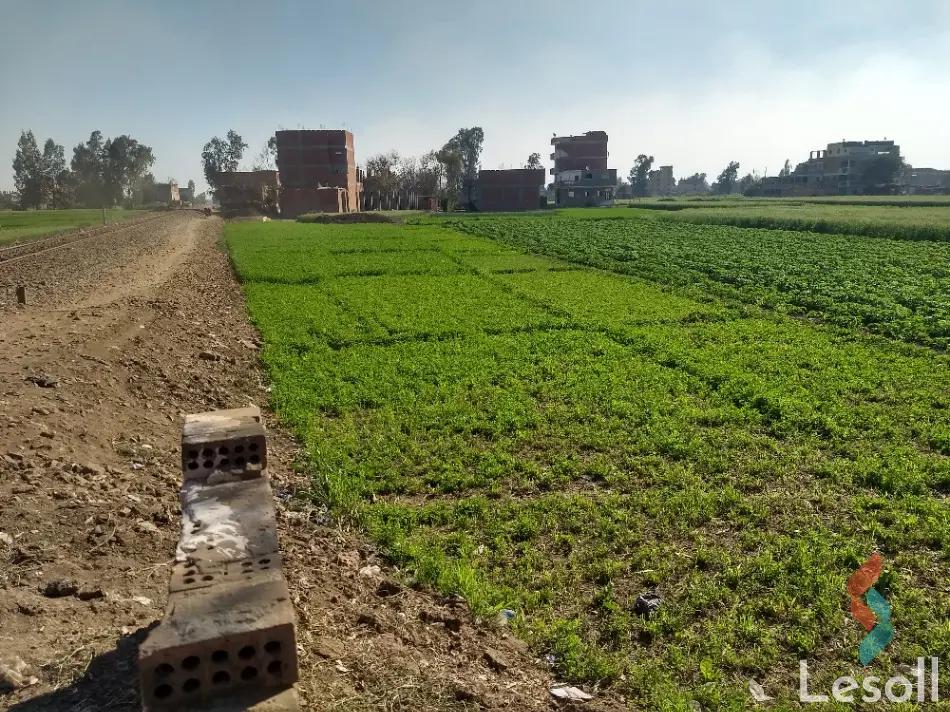 Land building for sale with an area of 3609 meters in Al Bagor Menofia