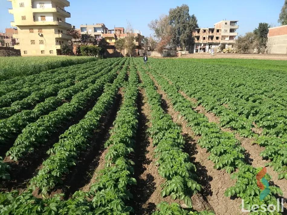 Land building for sale with an area of 3609 meters in Al Bagor Menofia