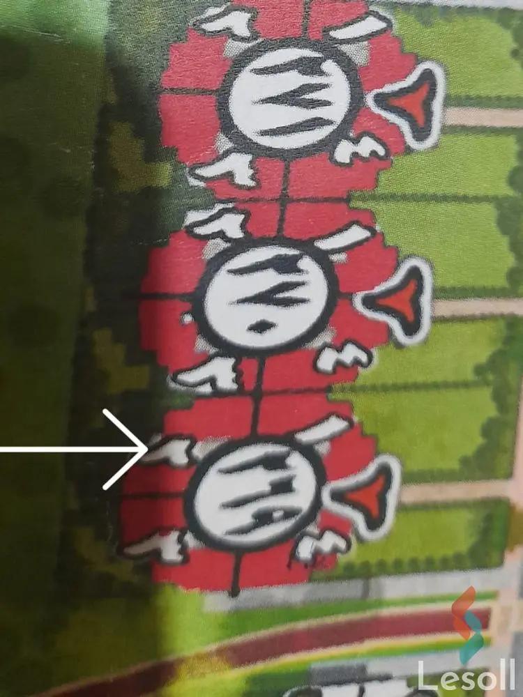 شقة للبيع بمساحة 171 متر و غرفتان في العاصمة الإدارية القاهرة - صورة 3