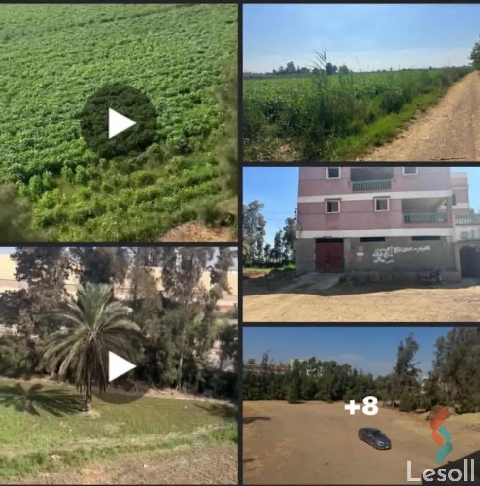 Land building for sale with an area of 49 meters in Mansoura Dakahlia