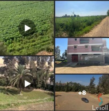 Land building for sale with an area of 49 meters in Mansoura Dakahlia