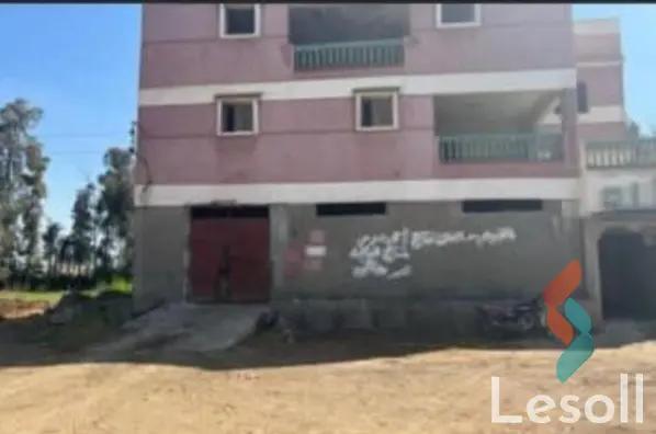 Land building for sale with an area of 49 meters in Mansoura Dakahlia