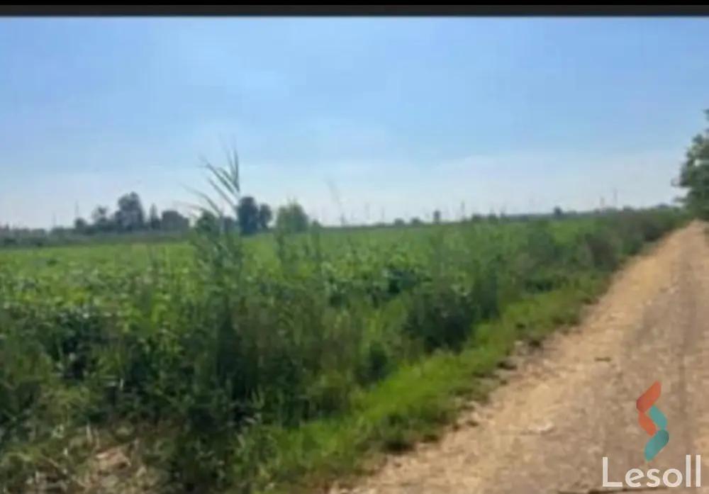 Land building for sale with an area of 49 meters in Mansoura Dakahlia