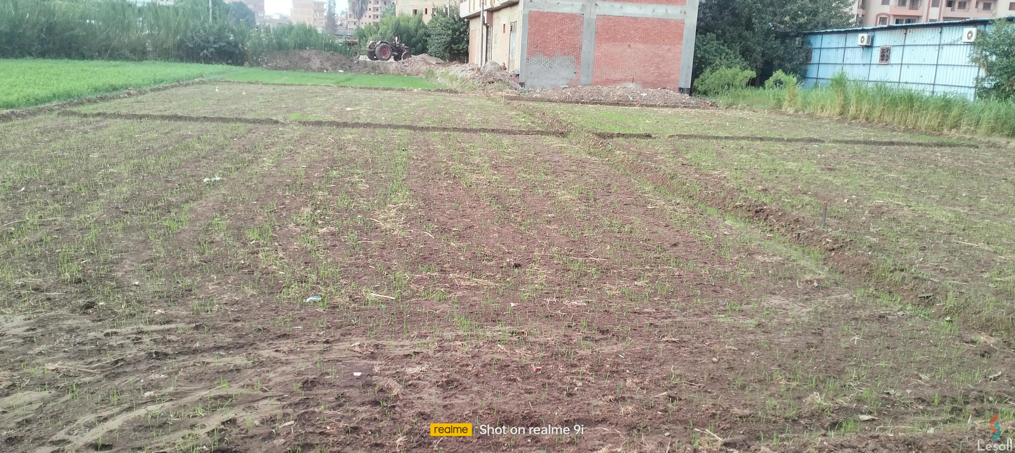 Land building for sale with an area of 309 meters in Shbeen El Koom Menofia