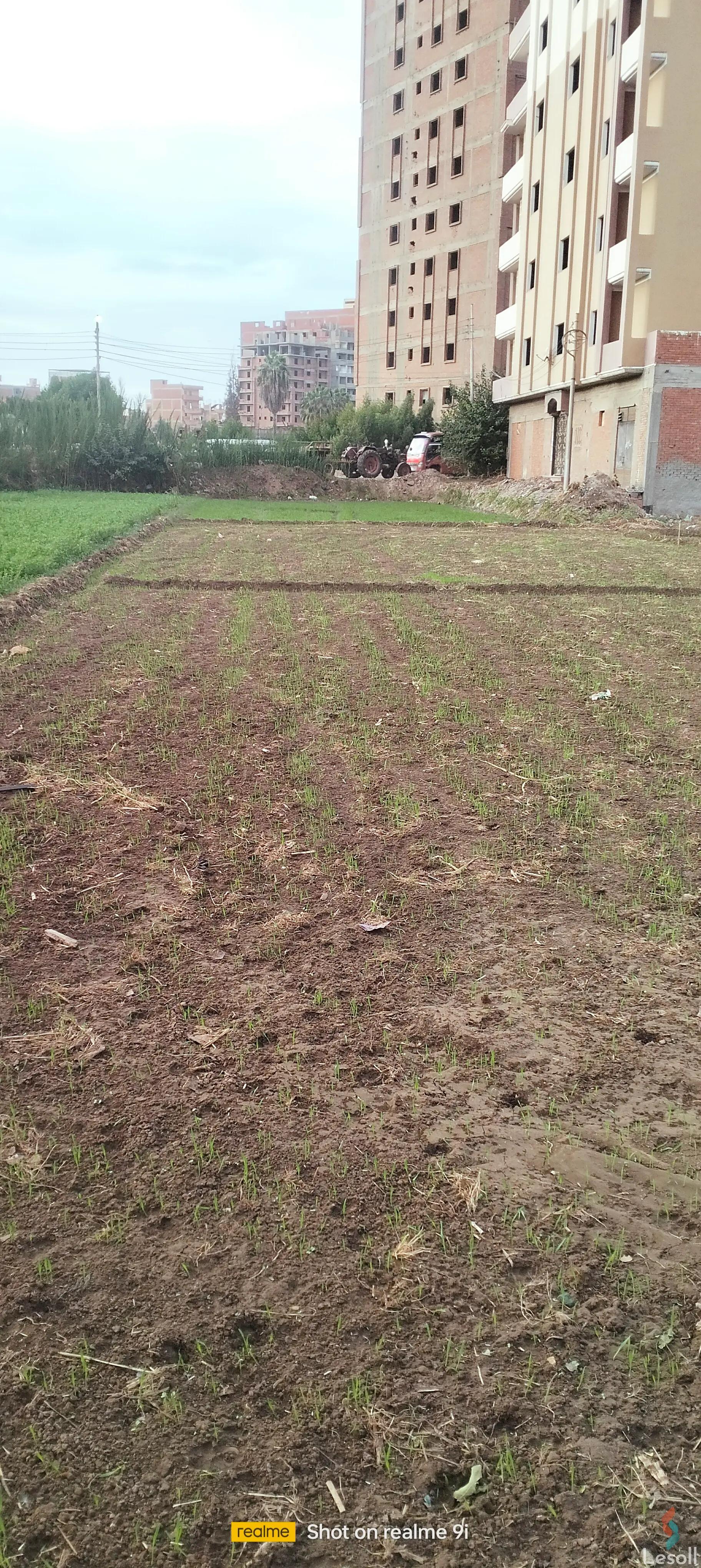 Land building for sale with an area of 309 meters in Shbeen El Koom Menofia