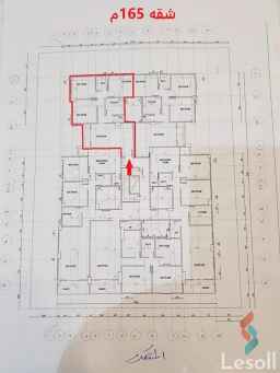 شقه استلام فورري باللوتس الشماليه ١٦٥م بلعداد فيو نادي بلاتينوم وشارع النصر