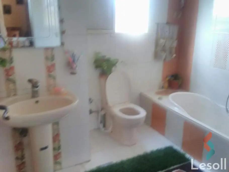 Apartment for sale with an data.area 300 meters and 4 data.rooms in Snumberi Bishr Alexandria