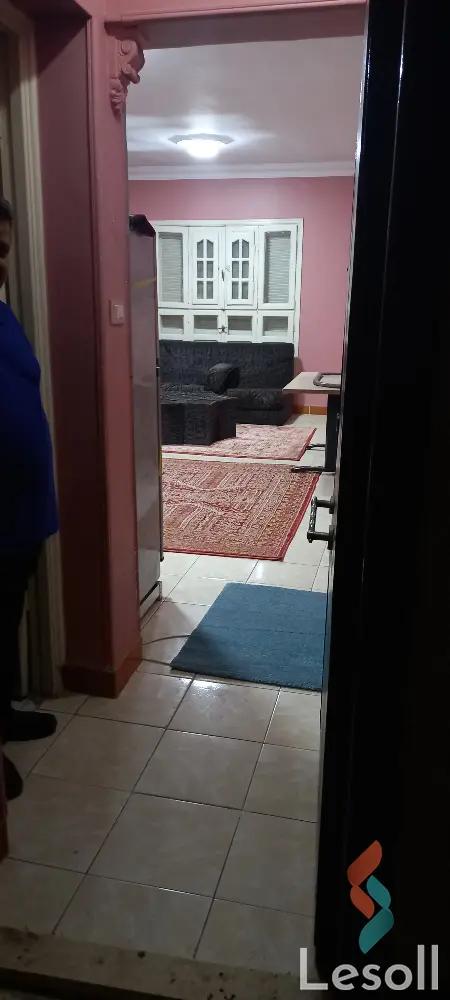 Apartment for monthly rent with an data.area 70 meters and 2 rooms in 3rd Settlement Cairo