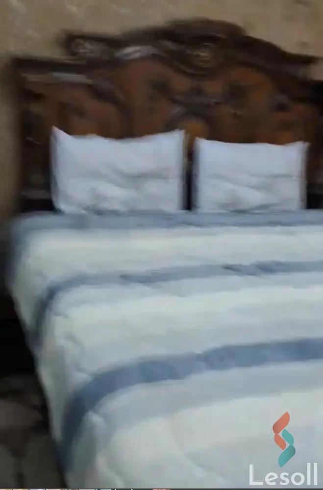 Apartment for monthly rent with an data.area 180 meters and 3 rooms in Nasr City Cairo - Image 4