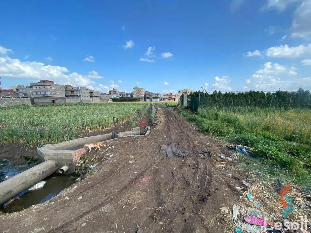 Land agriculture for sale with an area of 2652 meters in Mansoura Dakahlia