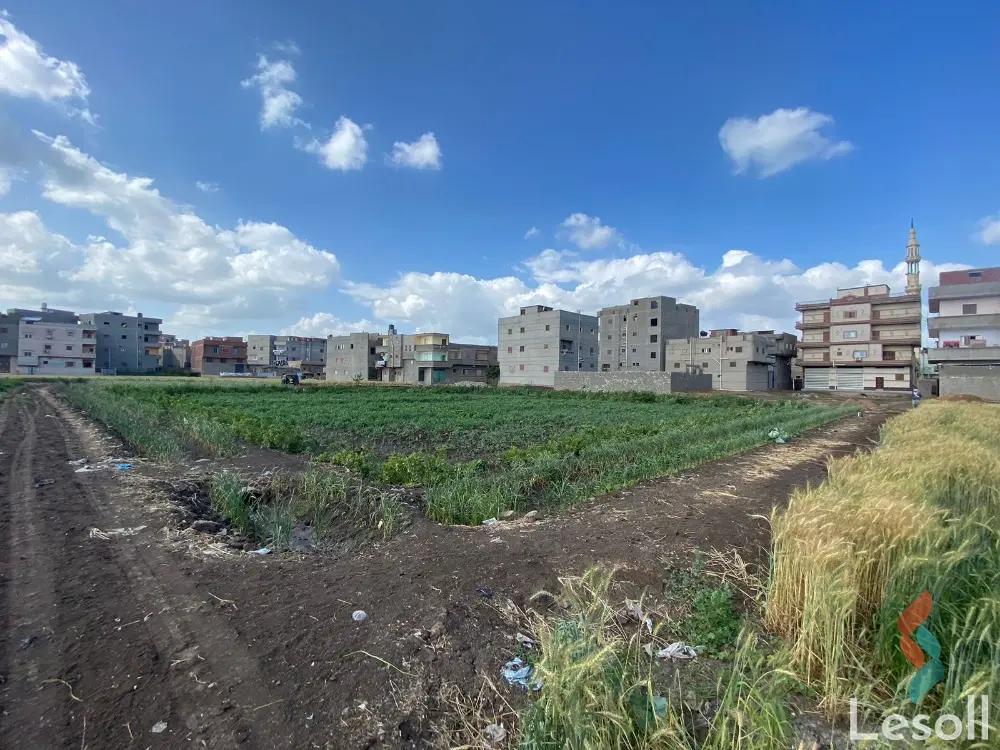 Land agriculture for sale with an area of 2652 meters in Mansoura Dakahlia