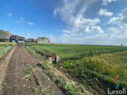 15 قيرات زراعي للبيع وسط كاردون المباني بقرية النسيمية بين (طناح و عزبة ميت محمود ) علي طريق المنصورة-طناح