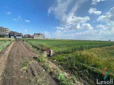 Land agriculture for sale with an area of 2652 meters in Mansoura Dakahlia
