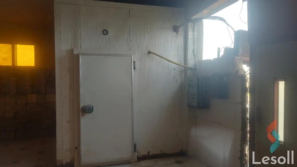 Factory for sale with an area of 1000 meters in Kafr El Sheikh Kafr Al sheikh