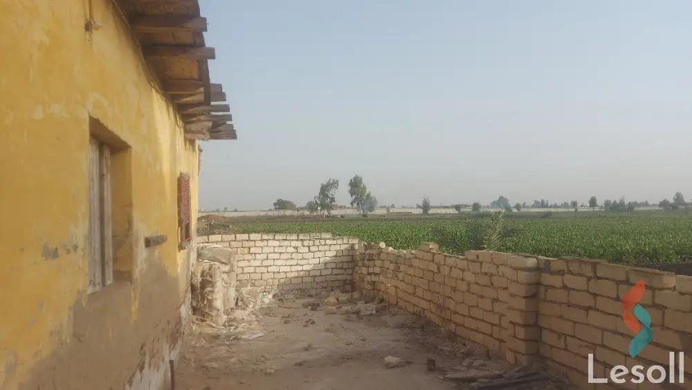 Factory for sale with an area of 1000 meters in Kafr El Sheikh Kafr Al sheikh