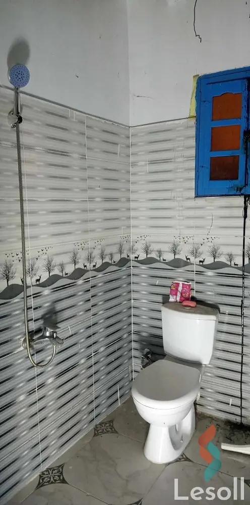 Agriculture for sale with an area 16,800 meters in Qantara Gharb Ismailia - Image 2