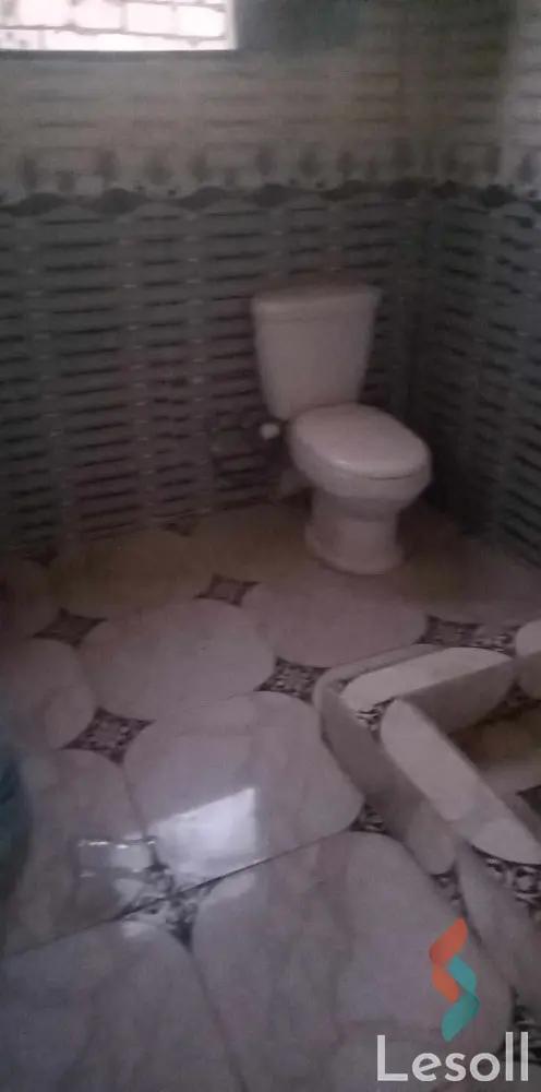 Agriculture for sale with an area 16,800 meters in Qantara Gharb Ismailia - Image 4