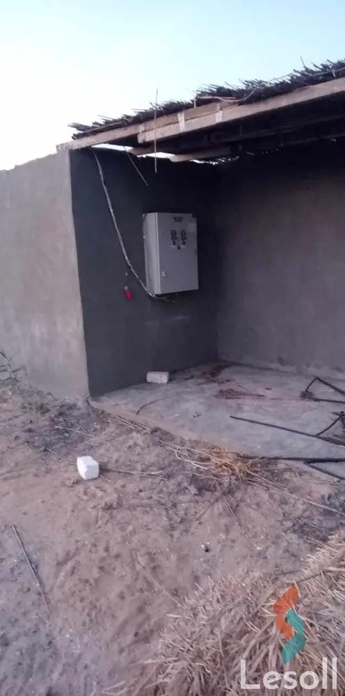 Agriculture for sale with an area 16,800 meters in Qantara Gharb Ismailia - Image 3