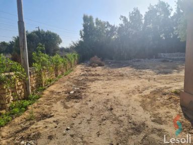 Land building for sale with an area of 500 meters in Ras El Hikma Matrouh
